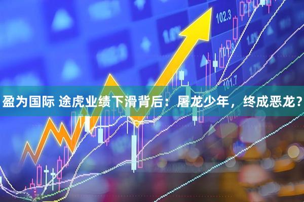 盈为国际 途虎业绩下滑背后：屠龙少年，终成恶龙？