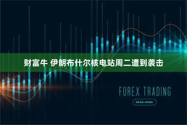 财富牛 伊朗布什尔核电站周二遭到袭击