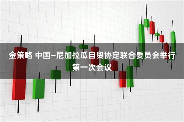 金策略 中国—尼加拉瓜自贸协定联合委员会举行第一次会议