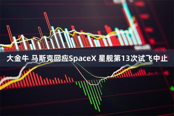 大金牛 马斯克回应SpaceX 星舰第13次试飞中止