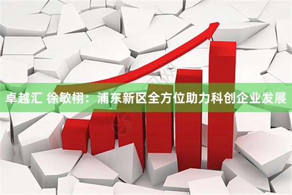 卓越汇 徐敏栩：浦东新区全方位助力科创企业发展