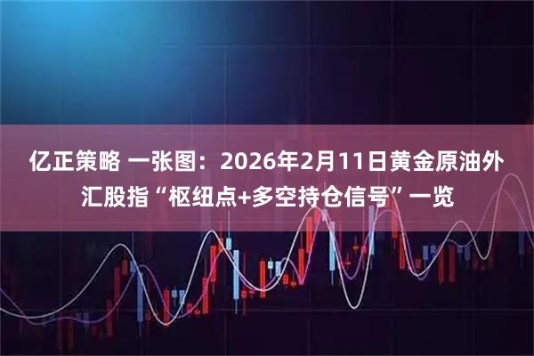 亿正策略 一张图:2026年2月11日黄金原油外汇股指“枢纽点+多空持仓信号”一览