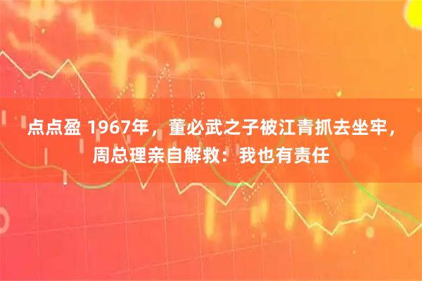 点点盈 1967年，董必武之子被江青抓去坐牢，周总理亲自解救：我也有责任