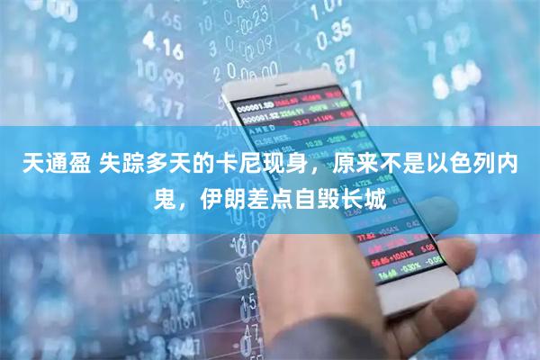 天通盈 失踪多天的卡尼现身，原来不是以色列内鬼，伊朗差点自毁长城