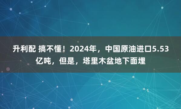 升利配 搞不懂!2024年,中国原油进口5.53亿吨,但是,塔里木盆地下面埋
