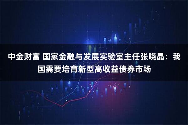 中金财富 国家金融与发展实验室主任张晓晶：我国需要培育新型高收益债券市场