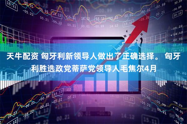 天牛配资 匈牙利新领导人做出了正确选择。 匈牙利胜选政党蒂萨党领导人毛焦尔4月
