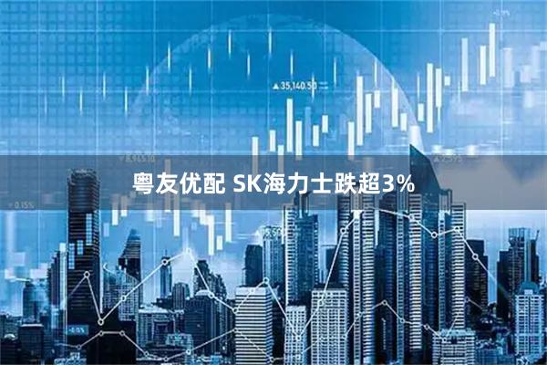 粤友优配 SK海力士跌超3%