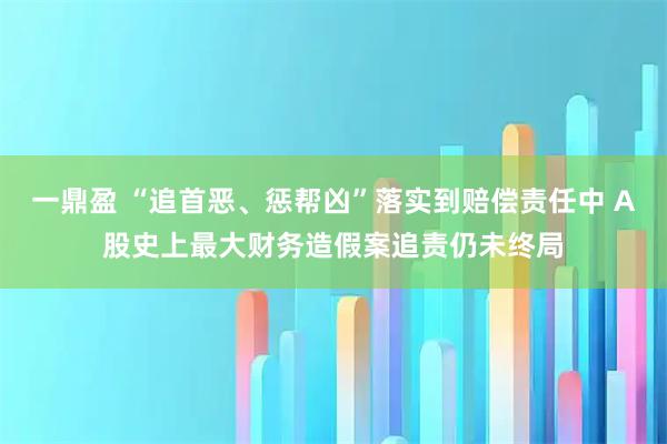 一鼎盈 “追首恶、惩帮凶”落实到赔偿责任中 A股史上最大财务造假案追责仍未终局