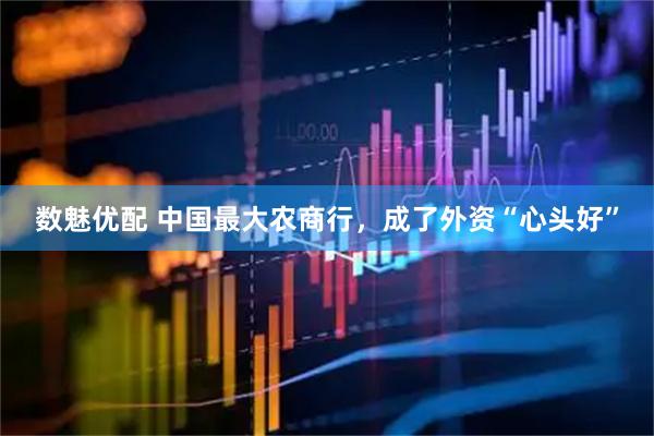 数魅优配 中国最大农商行，成了外资“心头好”