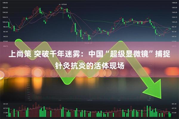 上尚策 突破千年迷雾：中国“超级显微镜”捕捉针灸抗炎的活体现场